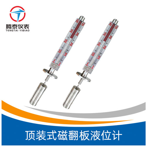頂裝式磁翻板液位計(jì) 頂裝式磁翻板液位計(jì)