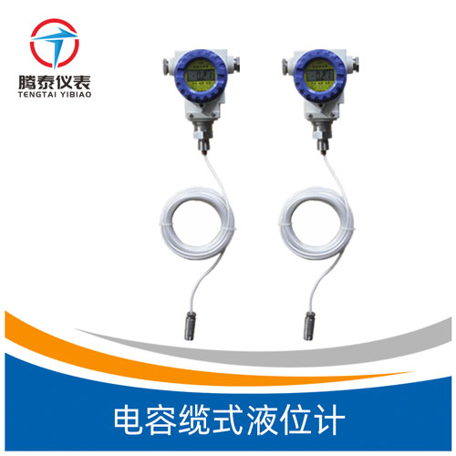 <b>電容纜式液位計</b> <b>電容纜式液位計</b>