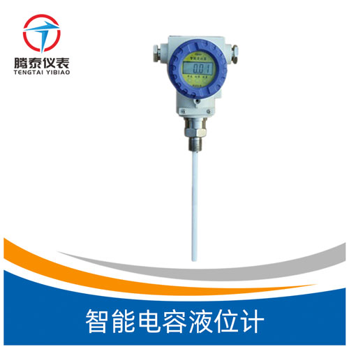 <b>智能電容液位計</b> <b>智能電容液位計</b>