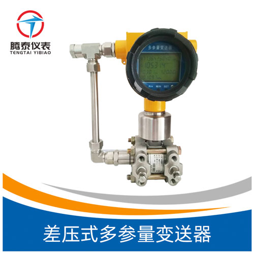 <b>差壓式多參量變送器</b> <b>差壓式多參量變送器</b>